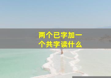 两个已字加一个共字读什么