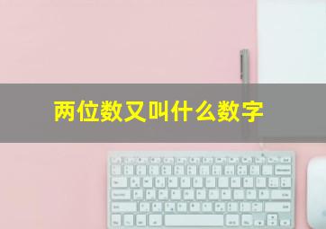 两位数又叫什么数字