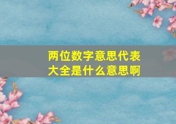 两位数字意思代表大全是什么意思啊