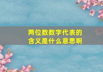 两位数数字代表的含义是什么意思啊