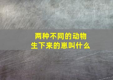 两种不同的动物生下来的崽叫什么