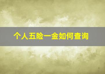 个人五险一金如何查询