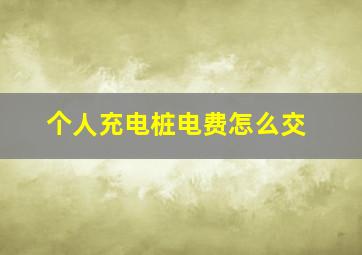 个人充电桩电费怎么交