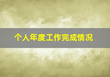 个人年度工作完成情况