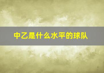 中乙是什么水平的球队