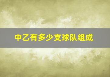 中乙有多少支球队组成