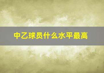 中乙球员什么水平最高