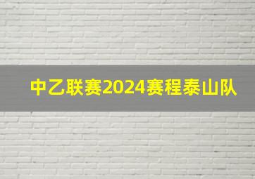 中乙联赛2024赛程泰山队