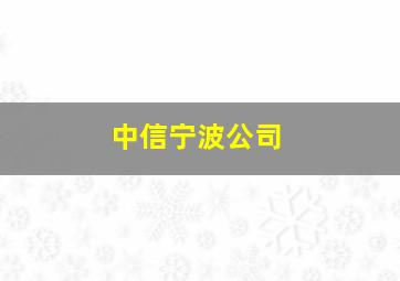 中信宁波公司