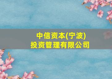 中信资本(宁波)投资管理有限公司