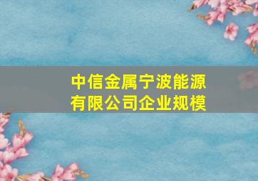 中信金属宁波能源有限公司企业规模