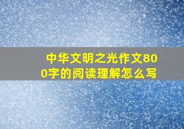 中华文明之光作文800字的阅读理解怎么写