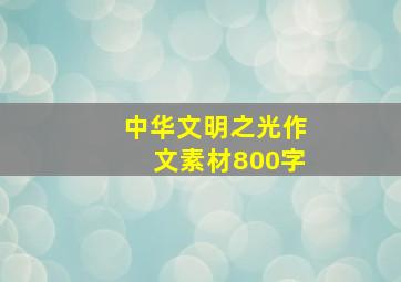 中华文明之光作文素材800字