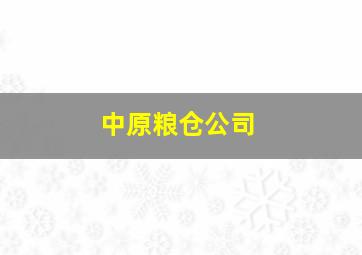 中原粮仓公司