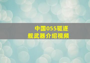 中国055驱逐舰武器介绍视频