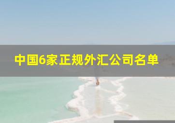 中国6家正规外汇公司名单