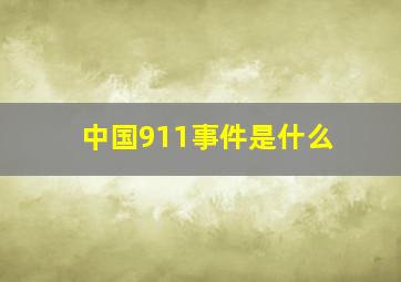 中国911事件是什么