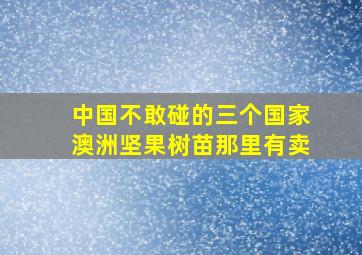 中国不敢碰的三个国家澳洲坚果树苗那里有卖