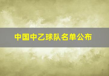 中国中乙球队名单公布