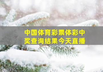 中国体育彩票体彩中奖查询结果今天直播