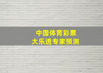 中国体育彩票大乐透专家预测