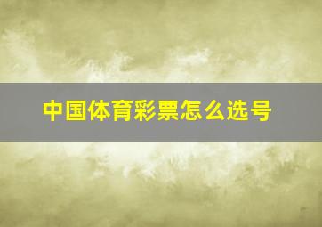 中国体育彩票怎么选号