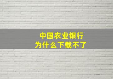 中国农业银行为什么下载不了