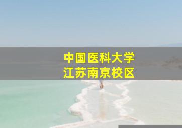 中国医科大学江苏南京校区