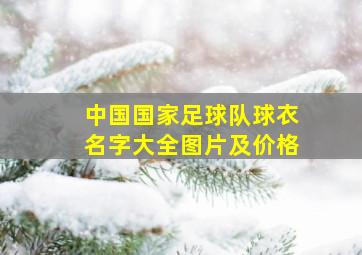 中国国家足球队球衣名字大全图片及价格