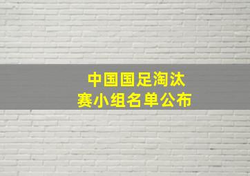 中国国足淘汰赛小组名单公布