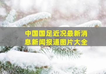 中国国足近况最新消息新闻报道图片大全