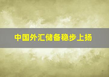 中国外汇储备稳步上扬