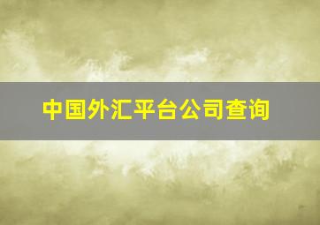 中国外汇平台公司查询