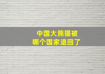 中国大熊猫被哪个国家退回了