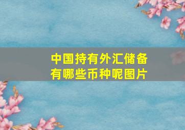 中国持有外汇储备有哪些币种呢图片