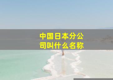 中国日本分公司叫什么名称