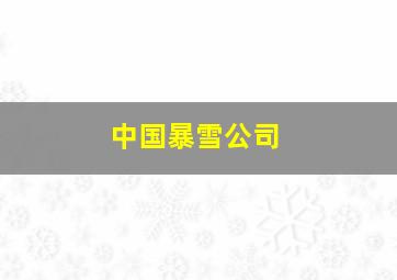 中国暴雪公司