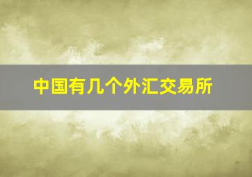 中国有几个外汇交易所