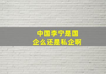 中国李宁是国企么还是私企啊