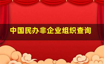 中国民办非企业组织查询