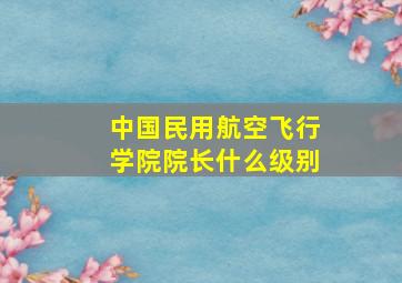 中国民用航空飞行学院院长什么级别