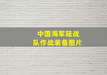 中国海军陆战队作战装备图片