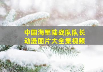 中国海军陆战队队长动漫图片大全集视频