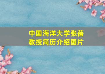 中国海洋大学张蓓教授简历介绍图片