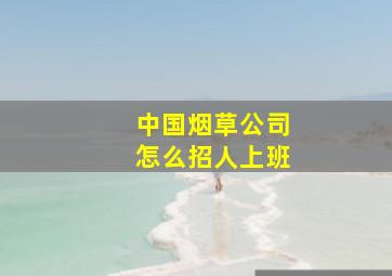 中国烟草公司怎么招人上班