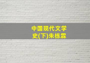 中国现代文学史(下)朱栋霖