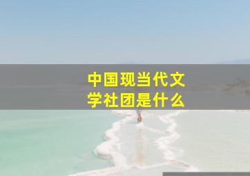 中国现当代文学社团是什么