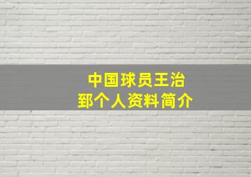 中国球员王治郅个人资料简介