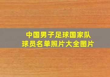 中国男子足球国家队球员名单照片大全图片