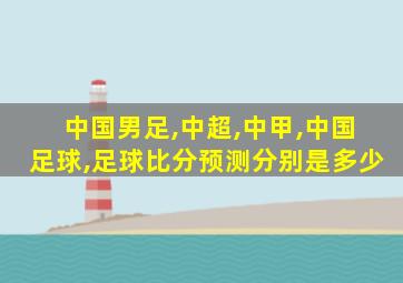 中国男足,中超,中甲,中国足球,足球比分预测分别是多少